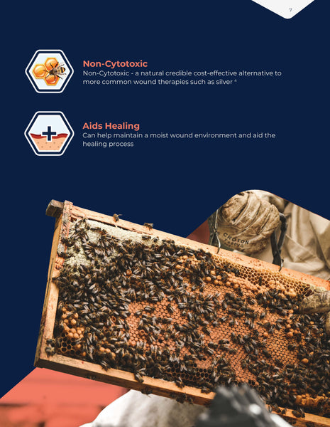 Advancis Catalog