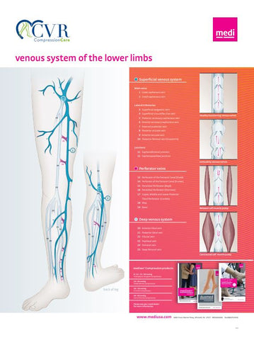 CVR Vein Poster